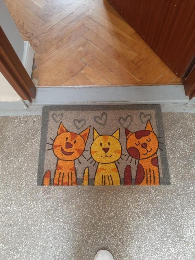 Apartament Koci Łeb Torun Bagian luar foto