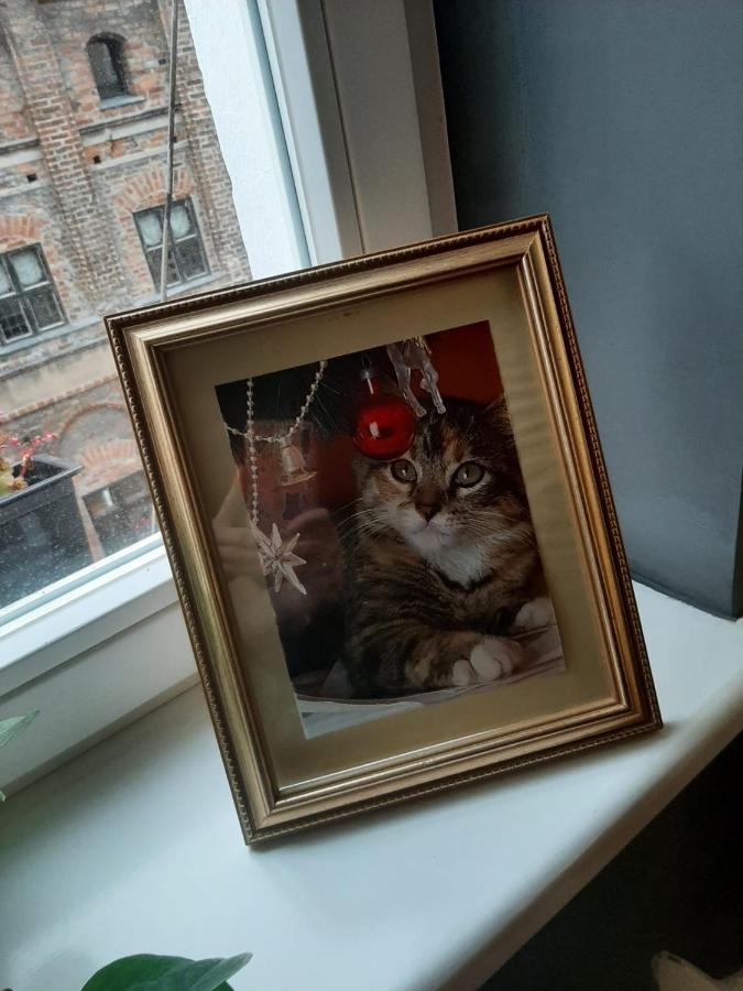 Apartament Koci Łeb Torun Bagian luar foto