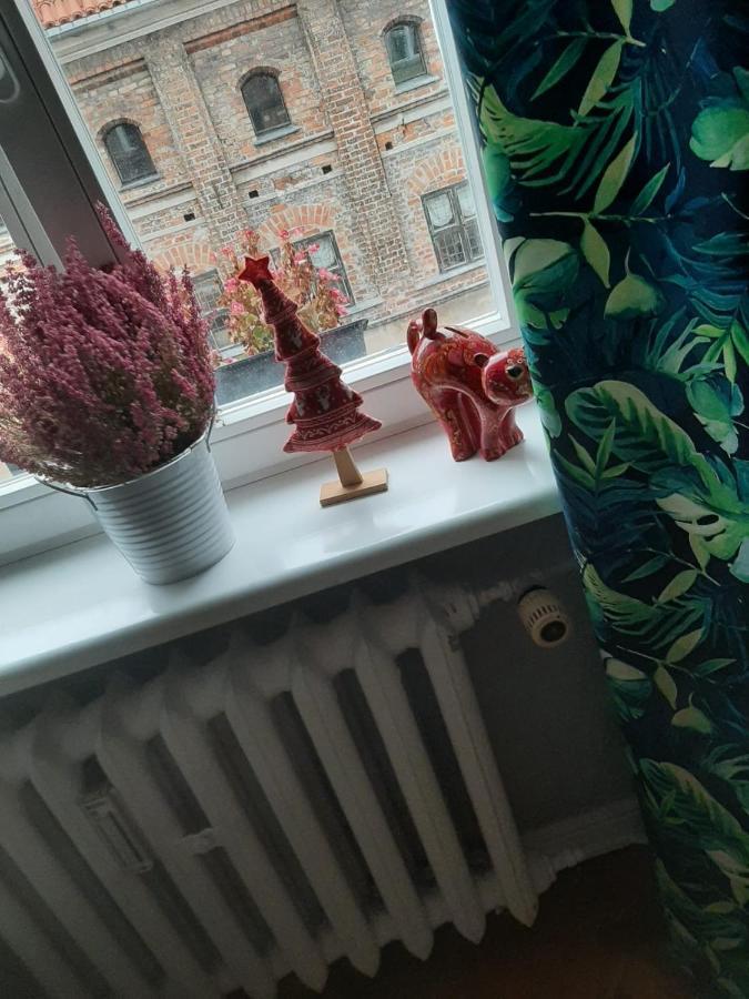 Apartament Koci Łeb Torun Bagian luar foto